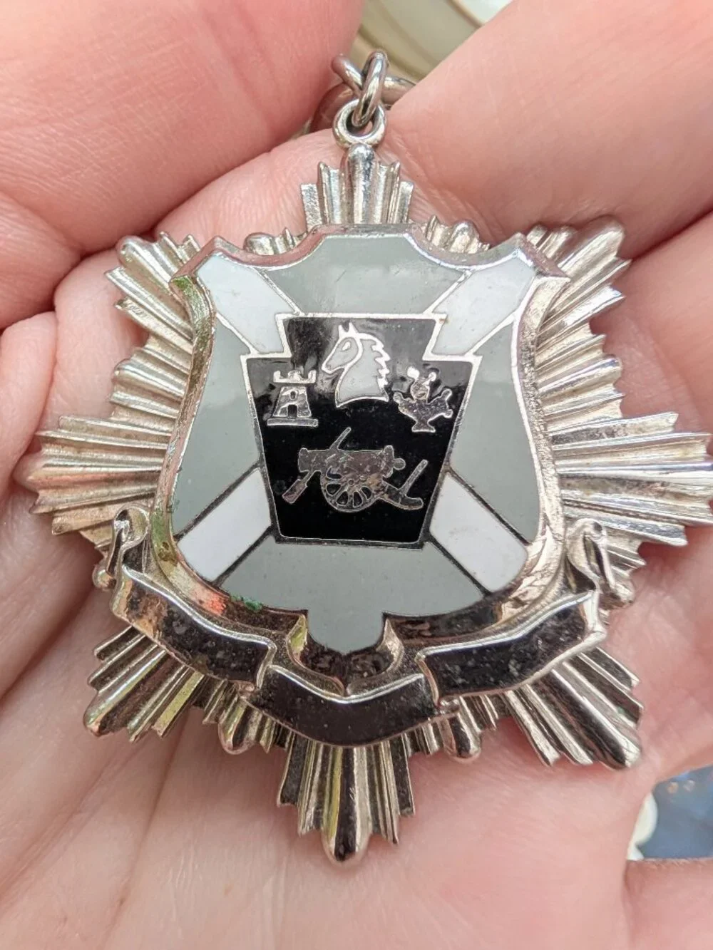 Vintage Heraldic Crest Medallion Necklace on Chunky Chain AS IS